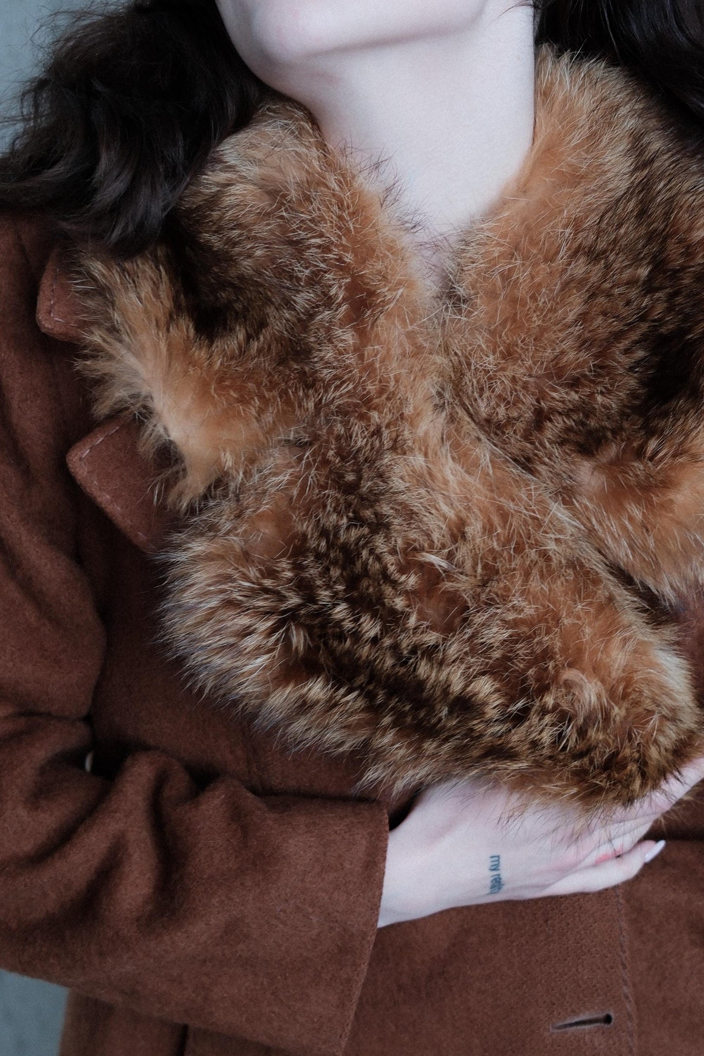 A close-up image of a person's hand and arm, with a furry brown cat resting on their arm.